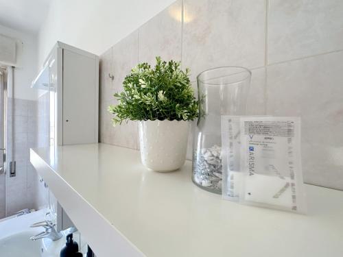 un bancone bianco del bagno con una pianta in un vaso di Giulia Apartment a Cassina deʼ Pecchi
