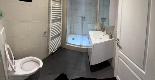 y baño con aseo, lavabo y ducha. en Modern apartament 1 bedroom+living en Bruselas