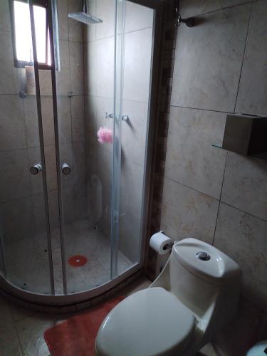 baño con ducha y aseo blanco en Casa Lila, en Mineral del Monte