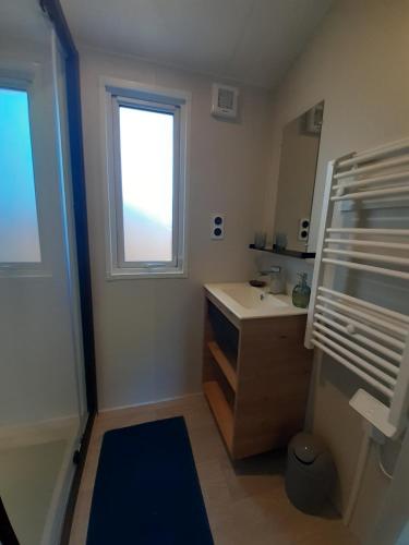 a small bathroom with a sink and a window at Chez Laura et Cyril in Gujan-Mestras