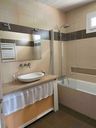 une salle de bain avec un lavabo et une douche dans l'établissement maison avec vue à la penne sur huveaune, à La Penne-sur-Huveaune