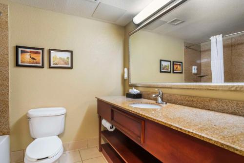 ein Badezimmer mit einem WC, einem Waschbecken und einem Spiegel in der Unterkunft Comfort Inn & Suites Mobile near Eastern Shore Centre in Spanish Fort