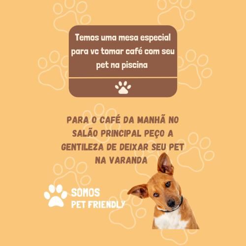 a picture of a dog on a yellow background at Pousada Flor de Lótus Suites Carneiros in Tamandaré