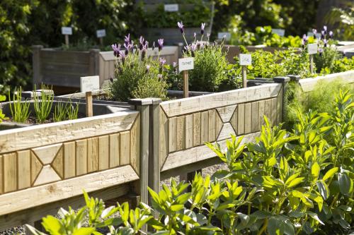 a garden with wooden fences and plants at Torrance Marriott Redondo Beach in Torrance