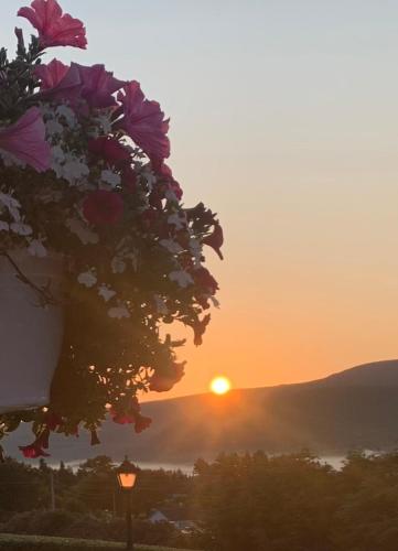 Paesaggio naturale nelle vicinanze della casa vacanze