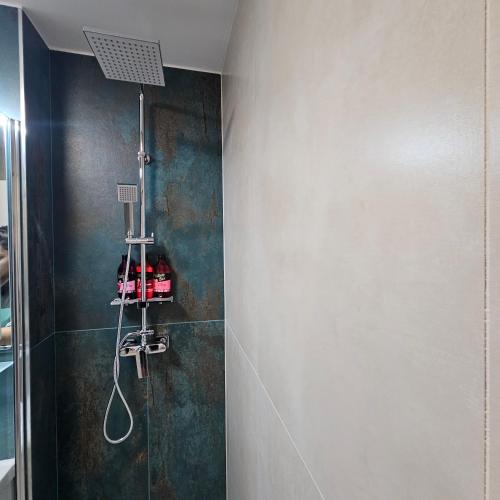 a bathroom with a shower with a shower head at Apartament Zorilor in Moineşti