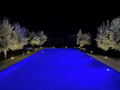a large blue swimming pool at night with trees at Villa de l'ATLAS in Marrakesh