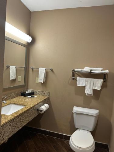 Et badeværelse på Executive Inn & Suites
