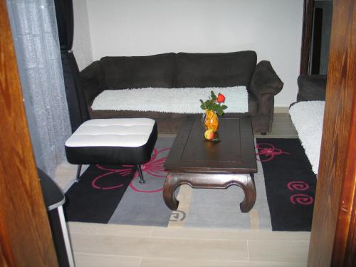 Posezení v ubytování Guest House Dena