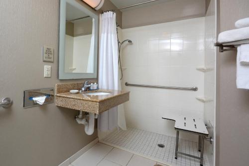 a bathroom with a sink and a shower at SpringHill Suites by Marriott Lynchburg Airport/University Area in Lynchburg