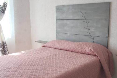 um quarto com uma cama com um edredão rosa em Casa cómoda para descansar o vacacionar em Xochitepec