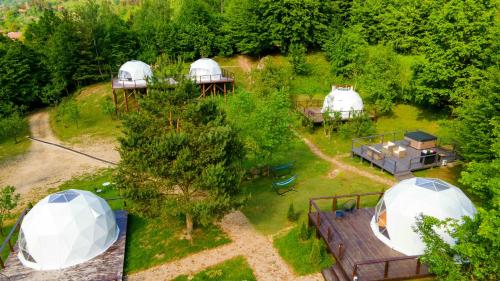 Giardino di The Grand Prestige Igloo
