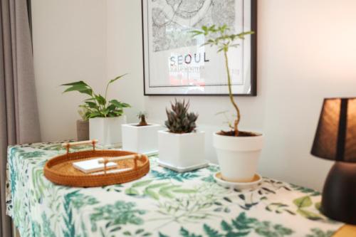 a table with potted plants and a basket on it at Starria Hostel foreign guest only in Seoul