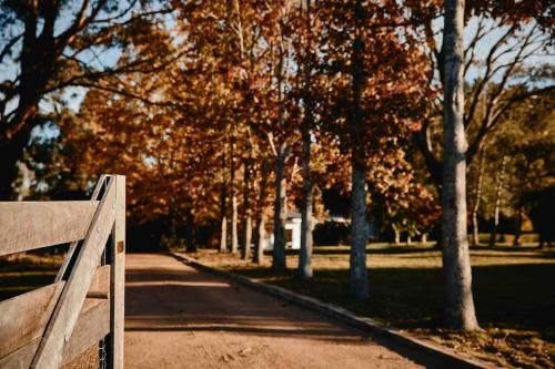 a park with a wooden fence and trees at The Maple Lodge with Alpacas, Goats, Boars, Ducks & Chickens Farm Stay with Outdoor Pizza Oven in Robertson