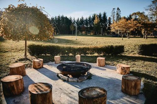 a fire pit in a park with wooden stumps at The Maple Lodge with Alpacas, Goats, Boars, Ducks & Chickens Farm Stay with Outdoor Pizza Oven in Robertson