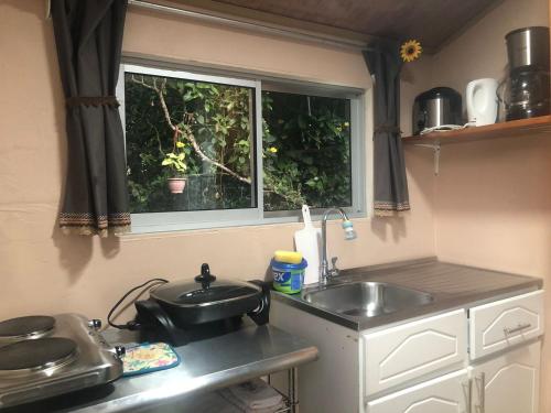 una cucina con lavandino e finestra di Lissadell Country House a Monteverde Costa Rica