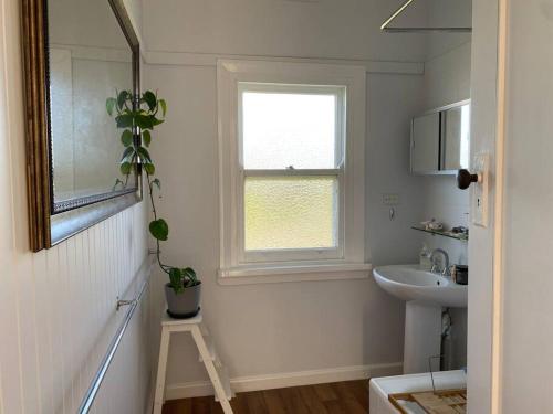 a bathroom with a sink and a mirror and a window at Windspray Cottage in Port Albert