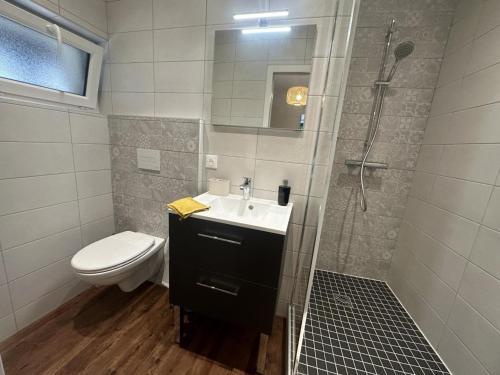 W łazience znajduje się prysznic, umywalka i toaleta. w obiekcie Gîte Moulins, 2 pièces, 2 personnes - FR-1-489-475 w mieście Moulins