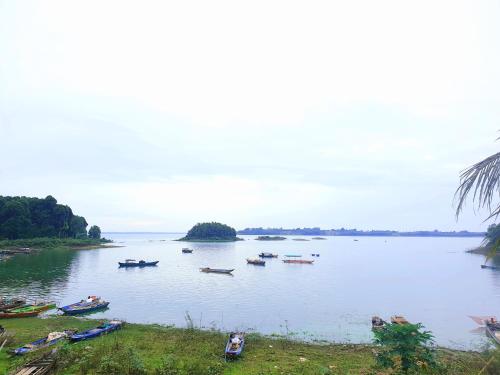 a group of boats on a river with trees at Bến Hồ Homestay in Xã Gia Tân