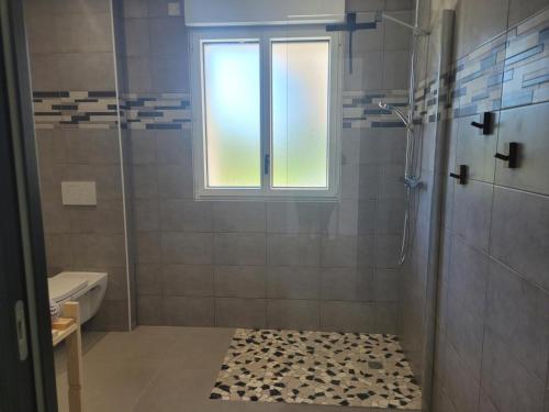 La salle de bains est pourvue d'une douche et d'une fenêtre. dans l'établissement Gîte Couzon, 2 pièces, 2 personnes - FR-1-489-476, à Couzon