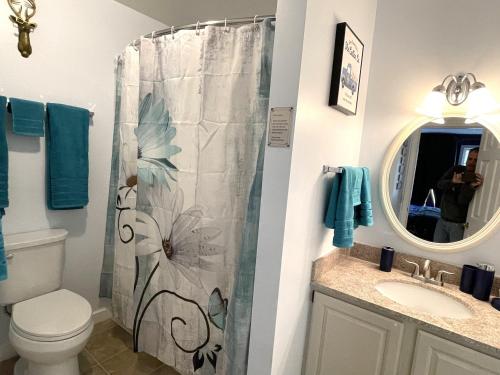 a bathroom with a toilet and a shower curtain at Mountain View Suite on Jiminy Peak Ski On Off -New in Hancock