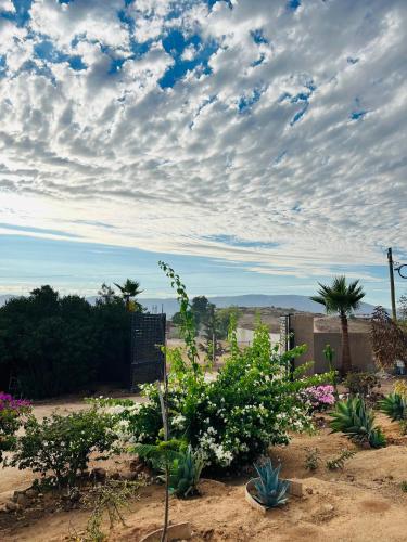 a garden with plants and flowers under a cloudy sky at Rancho Matalote en Valle de Guadalupe in Valle de Guadalupe