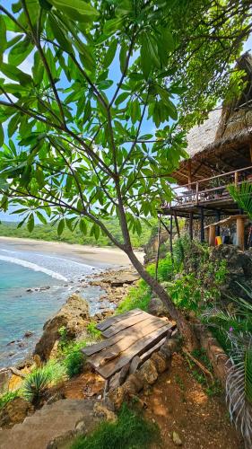 a wooden bench under a tree next to a beach at Monkey House Hostel in Tola