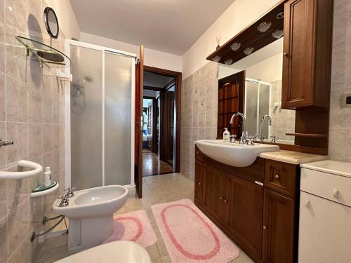 a bathroom with a toilet and a sink and a shower at Baita pressi Gran Paradiso in Sparone