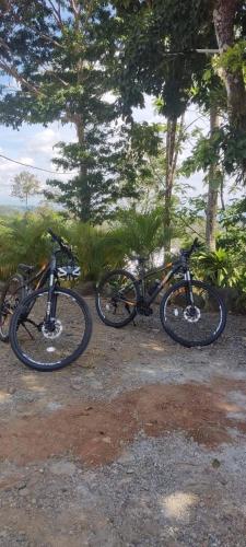 Bosque de Paz – Photos 2