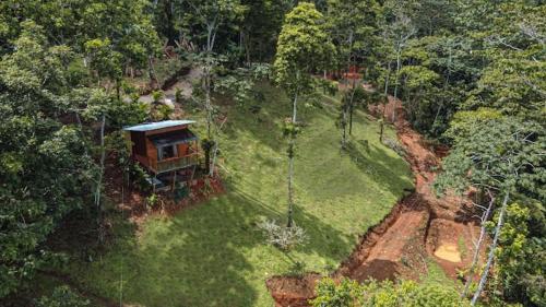 Bosque de Paz – Photos 3