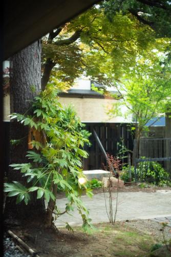 a small green tree in front of a building at 草木ももとせ in Iwasaki