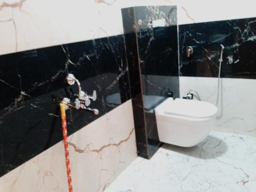 W łazience znajduje się umywalka, lustro i toaleta. w obiekcie Bedweiser Backpackers Hostel w mieście Agra