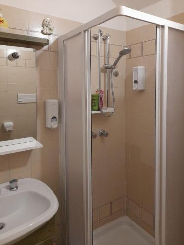 a bathroom with a shower and a sink at Piccolo Igloo in Falcade