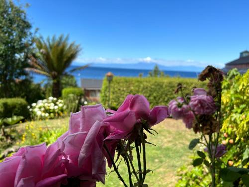 a bunch of pink flowers in a garden at Casa Frau Holle in Frutillar