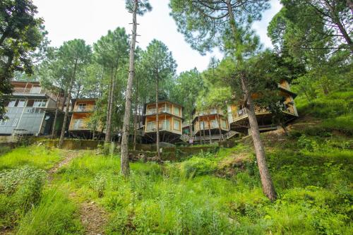 a group of houses on a hill in the woods at The Woods Retreat in Lansdowne