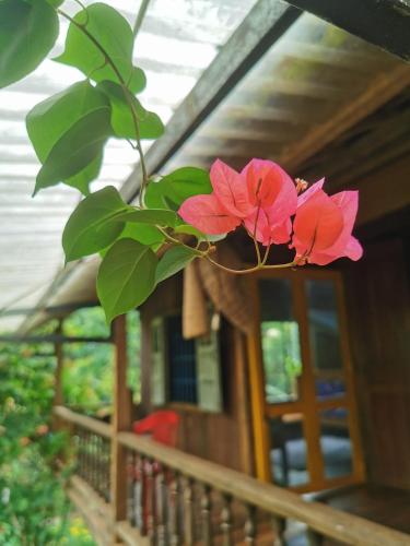 zwei rosa Blumen vor einem Haus in der Unterkunft Lily's Stone Garden Dorm room 
