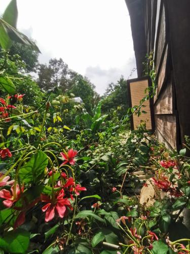 Lily's Stone Garden Dorm room : حديقة بها زهور حمراء بجوار مبنى
