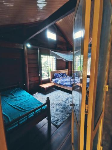 1 Schlafzimmer mit 2 Etagenbetten in einer Hütte in der Unterkunft Lily's Stone Garden Dorm room 