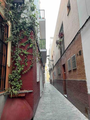 Encantador apartamento exclusivo céntrico