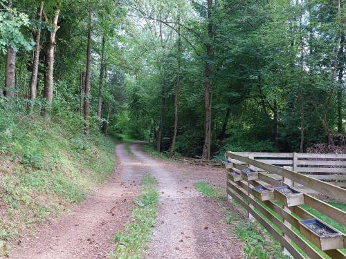 un camino de tierra en un bosque con una valla de madera en Landhaus im Tobel, en Bad Waldsee