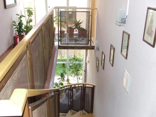 a hallway with a staircase with plants and a window at Pensiunea Caramell in Cluj-Napoca