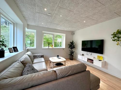 uma sala de estar com um sofá e uma televisão de ecrã plano em Luxury New Cozy and Quietly 95m2 em Tórshavn
