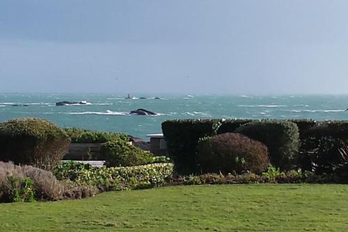 a view of the ocean from a field with bushes at Appartement Belles Vacances in Quiberon