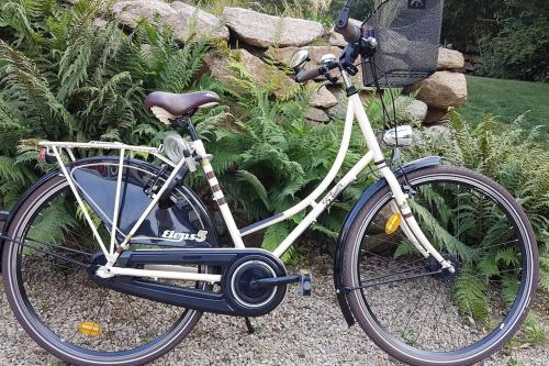 a bike parked in front of some plants at Appartement Belles Vacances in Quiberon