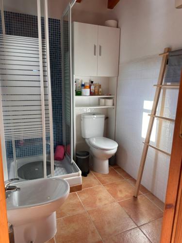 a bathroom with a toilet and a sink and a shower at Buhardilla Cortijo Pontiví in Salobreña