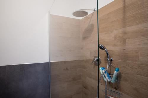 cabina de ducha con puerta de cristal y ducha en Affittacamere Ortensia, en Lodi