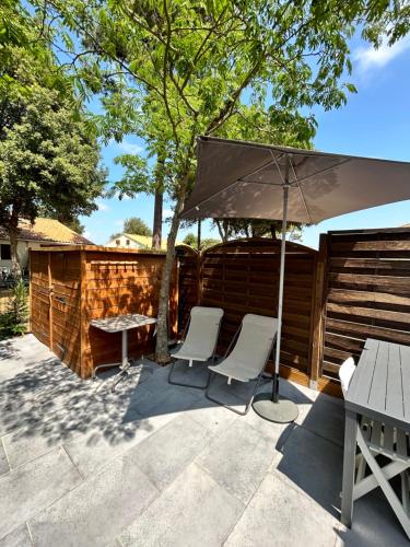 L'évasion des pins - Au coeur de la Nature