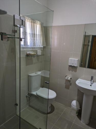 a bathroom with a toilet and a sink at Country Lodge Motor Inn in Bathurst