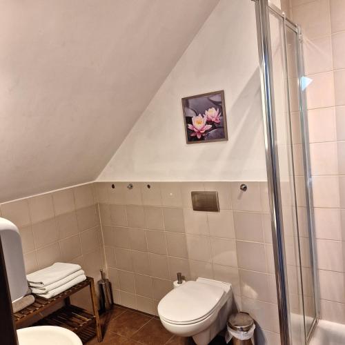 a bathroom with a toilet and a shower at Eko Dom Eturia in Suchoraba