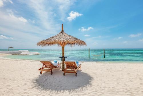 Landskap semula jadi dekat dengan resort
